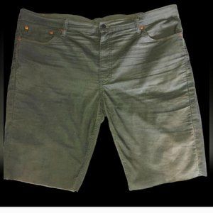 Levi's Men's Green Jeans